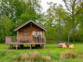 Cozy lodge with hot tub in Drenthe